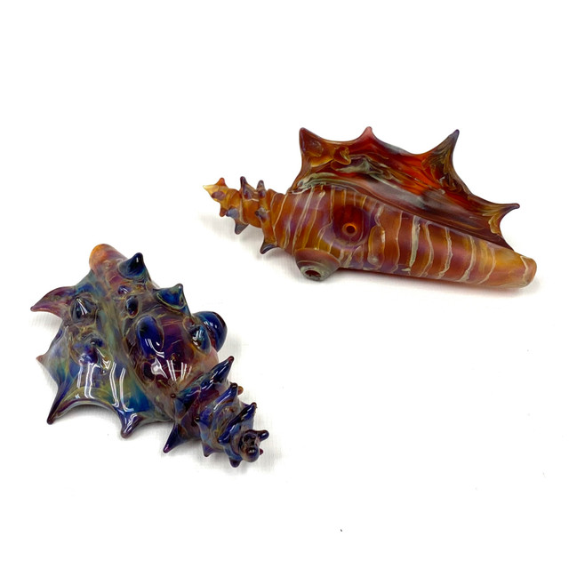 Conch Shell Glass Hand Pipe Art Colorado Made